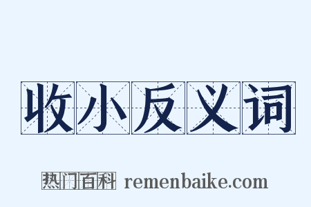 收小反义词是什么意思的图片